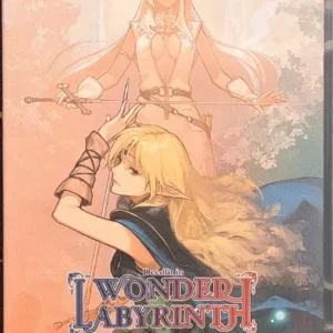 RECORD OF LODOSS WAR: Deedlit in Wonder Labyrinth / NS / NS2